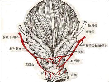 苏州生殖器疱疹 医院