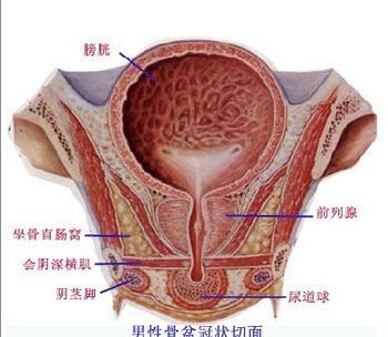 患有前列腺增生通常出现什么症状