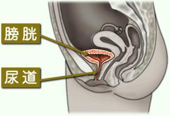 `咨询医生，预约挂号治疗