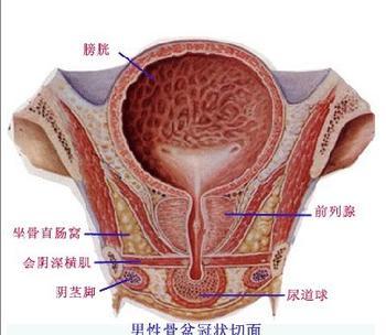 前列腺肥大应如何治