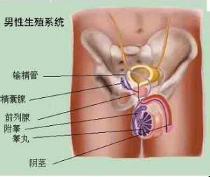 勃起功能障碍的几大病症是什么