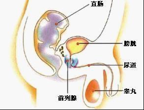 前列腺肥大需要做哪些检查