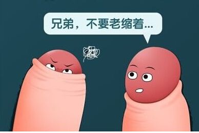 新乡男科包皮医院,包皮太长的危害？