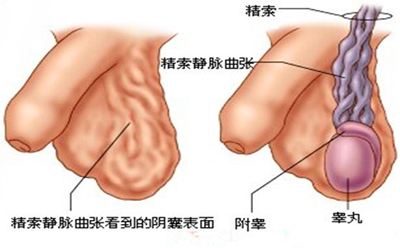 苏州东吴医院