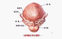 苏州男性前列腺医院