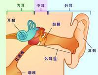 苏州东吴耳鼻喉医院