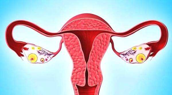 苏州专业治疗妇科疾病的医院_女性患卵巢癌的表现