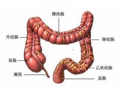 【苏州肛肠医院排名】结肠炎的患病原因是什么？