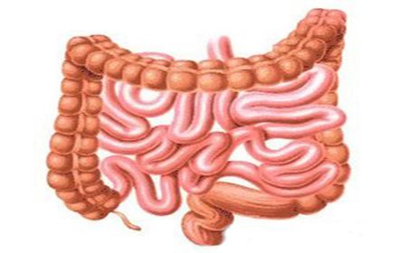 【苏州肛肠科哪家好】为什么结肠炎久治不愈？