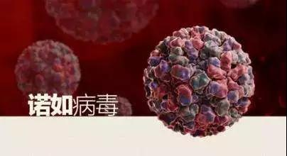 苏州妇科医院